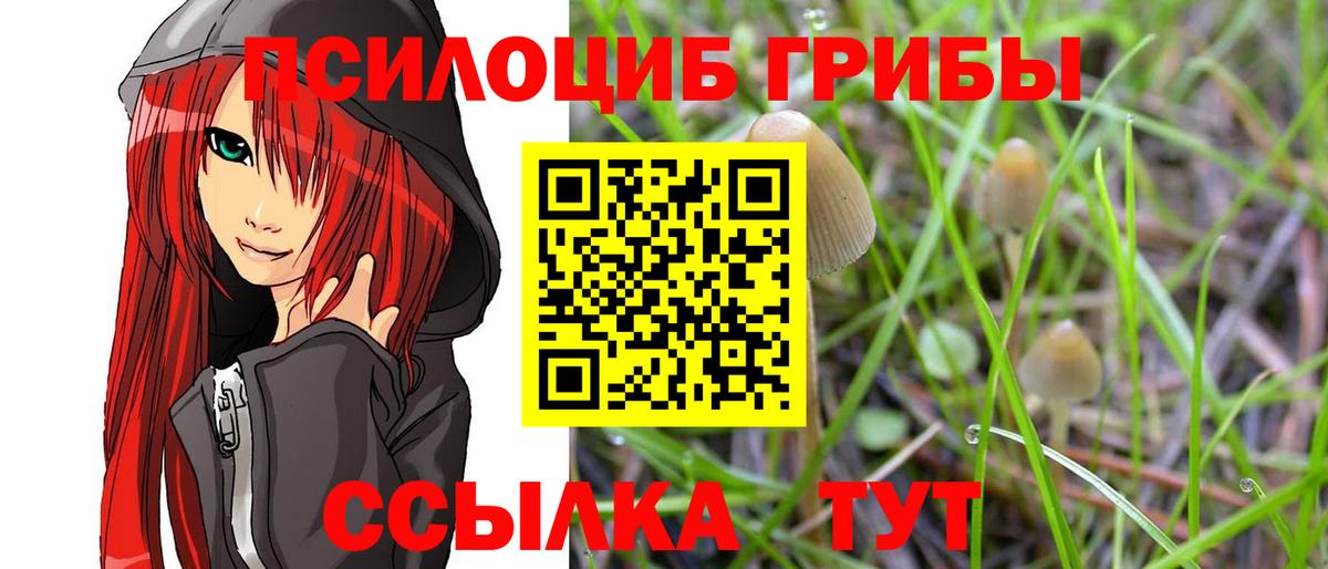 Псилоцибиновые грибы MAGIC MUSHROOMS Волгодонск