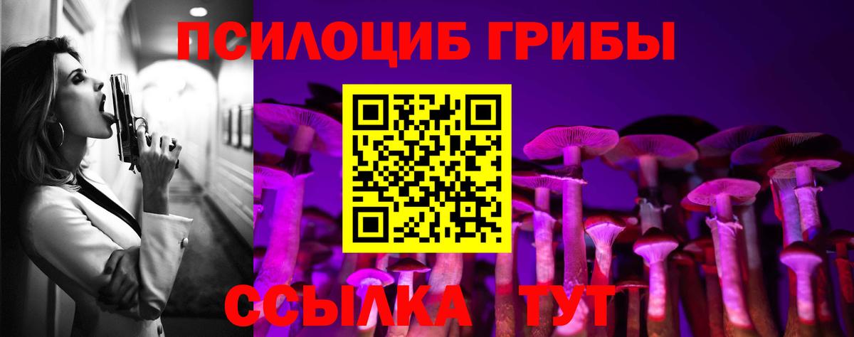 Галлюциногенные грибы мицелий  Вход с VPN  Псилоцибиновые грибы GOLDEN TEACHER  Волгодонск 